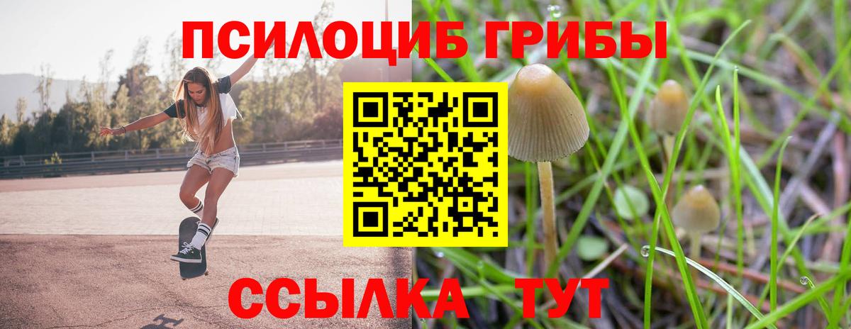 Галлюциногенные грибы мухоморы Прохладный